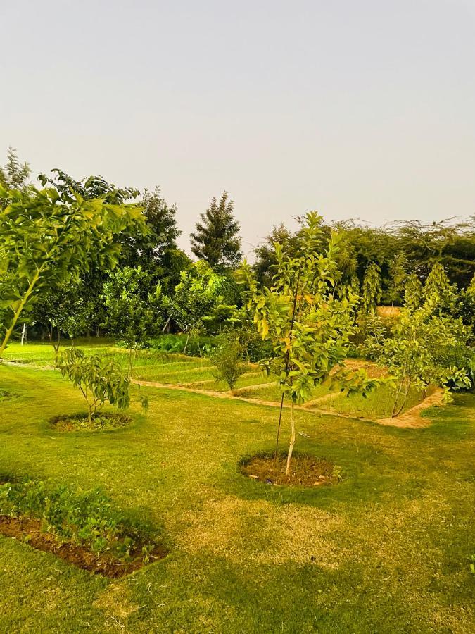グルガウン Anantam Aravaliヴィラ エクステリア 写真